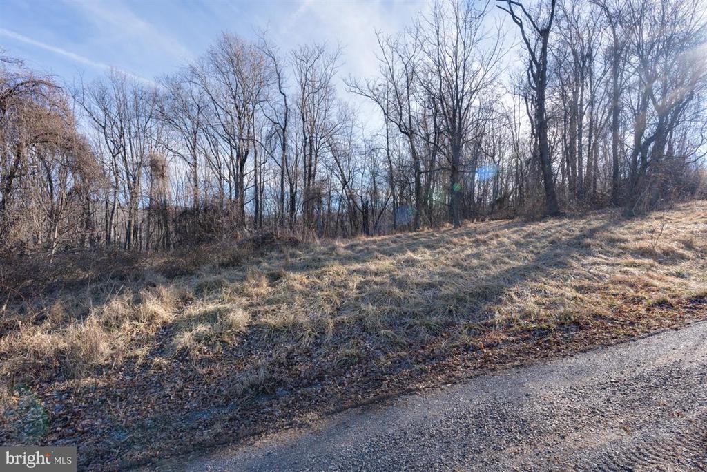 OVERLOOK MOUNTAIN RD, ELKTON, Virginia 22827, ,Land,OVERLOOK MOUNTAIN RD,VAPA2006550 MLS # VAPA2006550 OVERLOOK MOUNTAIN RD, ELKTON, Virginia 22827, ,Land,OVERLOOK MOUNTAIN RD,VAPA2006550 MLS # VAPA2006550