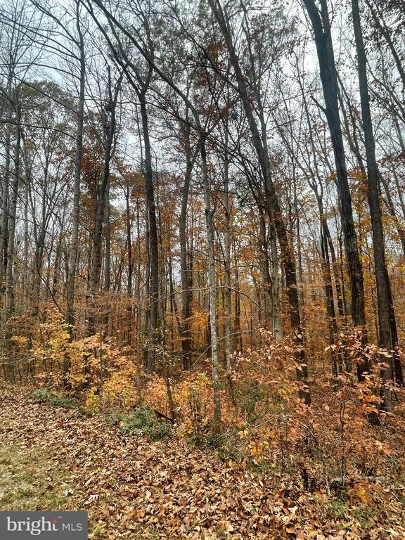 8704 MILLWOOD DR, SPOTSYLVANIA, Virginia 22551, ,Land,8704 MILLWOOD DR,VASP2042934 MLS # VASP2042934 8704 MILLWOOD DR, SPOTSYLVANIA, Virginia 22551, ,Land,8704 MILLWOOD DR,VASP2042934 MLS # VASP2042934
