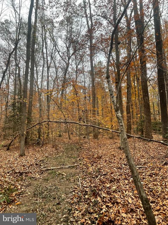 8704 MILLWOOD DR, SPOTSYLVANIA, Virginia 22551, ,Land,8704 MILLWOOD DR,VASP2042934 MLS # VASP2042934 8704 MILLWOOD DR, SPOTSYLVANIA, Virginia 22551, ,Land,8704 MILLWOOD DR,VASP2042934 MLS # VASP2042934