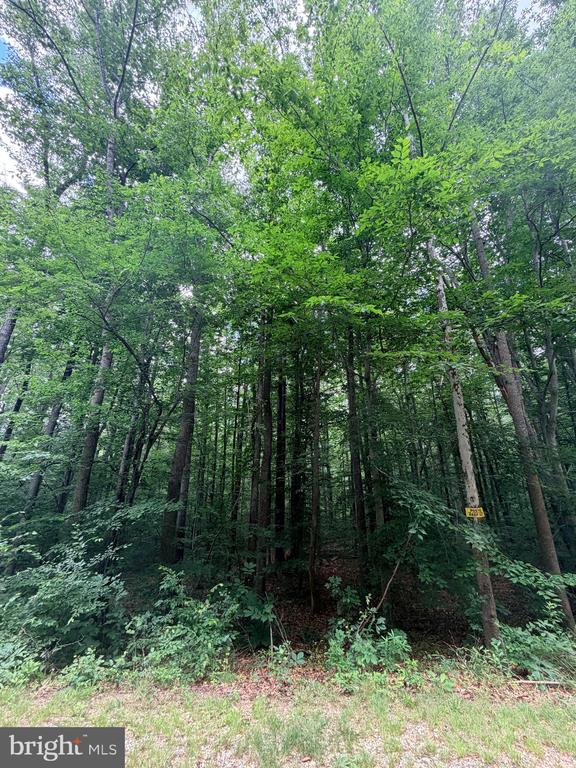 8704 MILLWOOD DR, SPOTSYLVANIA, Virginia 22551, ,Land,8704 MILLWOOD DR,VASP2042934 MLS # VASP2042934 8704 MILLWOOD DR, SPOTSYLVANIA, Virginia 22551, ,Land,8704 MILLWOOD DR,VASP2042934 MLS # VASP2042934