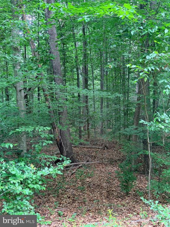 8704 MILLWOOD DR, SPOTSYLVANIA, Virginia 22551, ,Land,8704 MILLWOOD DR,VASP2042934 MLS # VASP2042934 8704 MILLWOOD DR, SPOTSYLVANIA, Virginia 22551, ,Land,8704 MILLWOOD DR,VASP2042934 MLS # VASP2042934