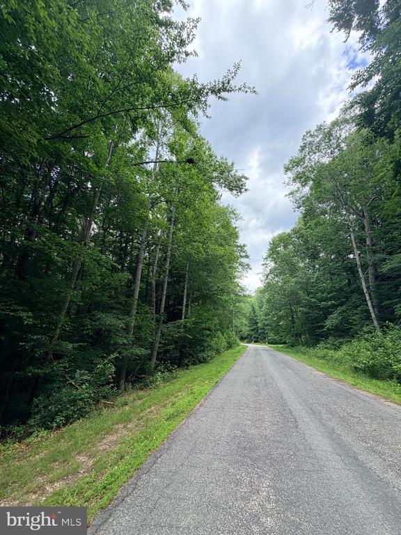 8704 MILLWOOD DR, SPOTSYLVANIA, Virginia 22551, ,Land,8704 MILLWOOD DR,VASP2042934 MLS # VASP2042934 8704 MILLWOOD DR, SPOTSYLVANIA, Virginia 22551, ,Land,8704 MILLWOOD DR,VASP2042934 MLS # VASP2042934