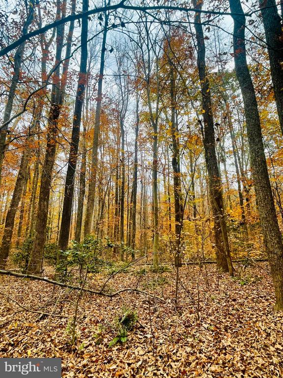 8704 MILLWOOD DR, SPOTSYLVANIA, Virginia 22551, ,Land,8704 MILLWOOD DR,VASP2042934 MLS # VASP2042934 8704 MILLWOOD DR, SPOTSYLVANIA, Virginia 22551, ,Land,8704 MILLWOOD DR,VASP2042934 MLS # VASP2042934