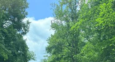 8704 MILLWOOD DR, SPOTSYLVANIA, Virginia 22551, ,Land,8704 MILLWOOD DR,VASP2042934 MLS # VASP2042934