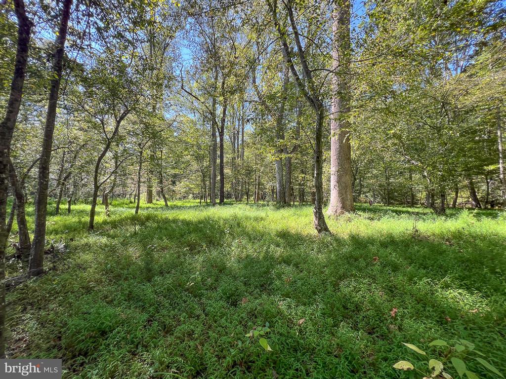 10812 MILLRIDGE LN, SPOTSYLVANIA, Virginia 22553, 4 Bedrooms Bedrooms, ,4 BathroomsBathrooms,Residential,10812 MILLRIDGE LN,VASP2042942 MLS # VASP2042942