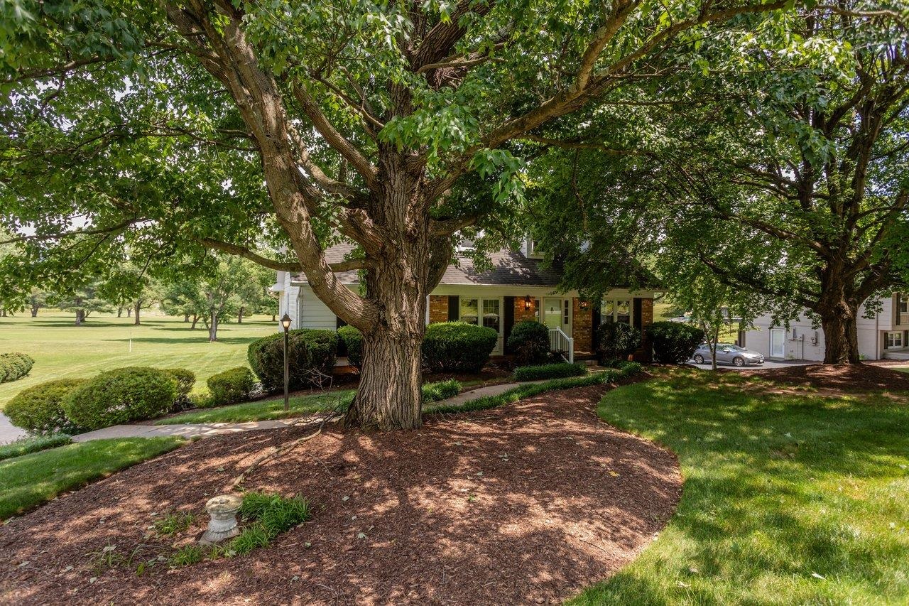 1665 MASSANETTA SPRINGS RD, ROCKINGHAM, Virginia 22801, 5 Bedrooms Bedrooms, ,3 BathroomsBathrooms,Residential,1665 MASSANETTA SPRINGS RD,678452 MLS # 678452