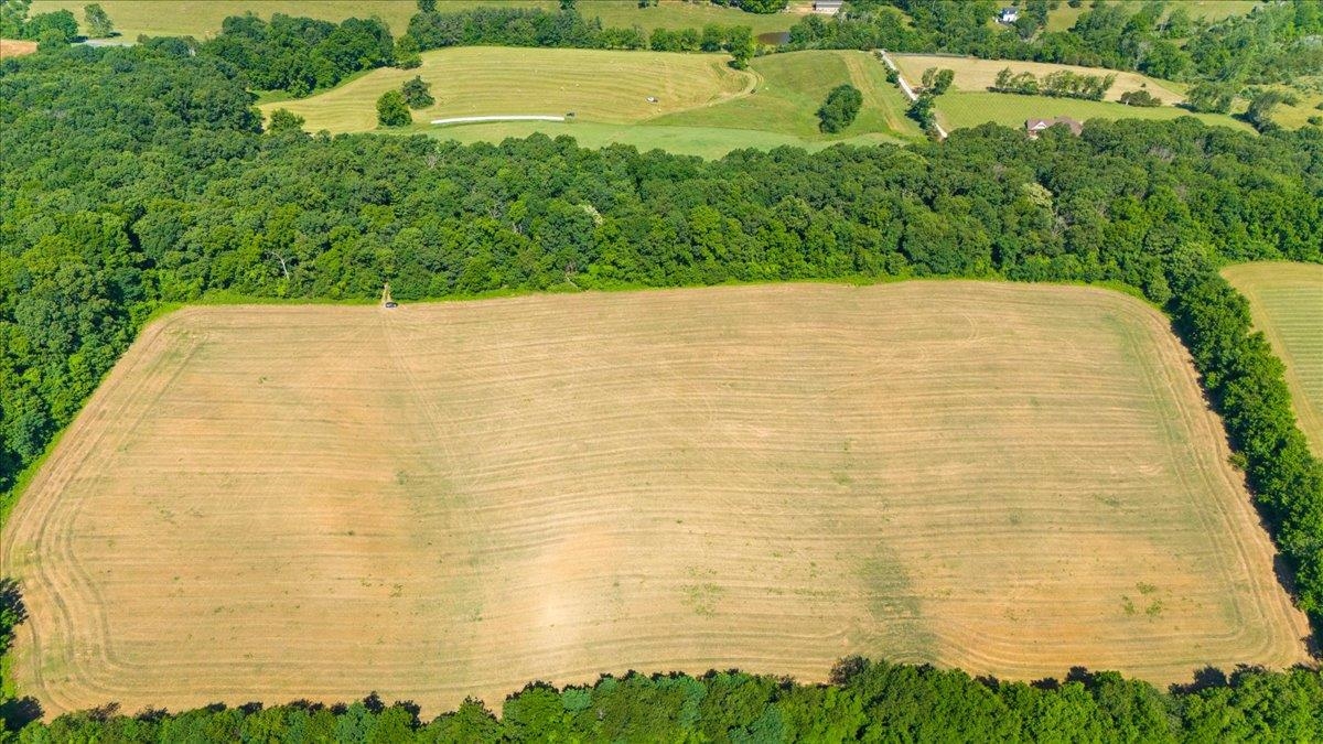 TBD ARBOR HILL RD, STAUNTON, Virginia 24401, ,Farm,TBD ARBOR HILL RD,678469 MLS # 678469 TBD ARBOR HILL RD, STAUNTON, Virginia 24401, ,Farm,TBD ARBOR HILL RD,678469 MLS # 678469