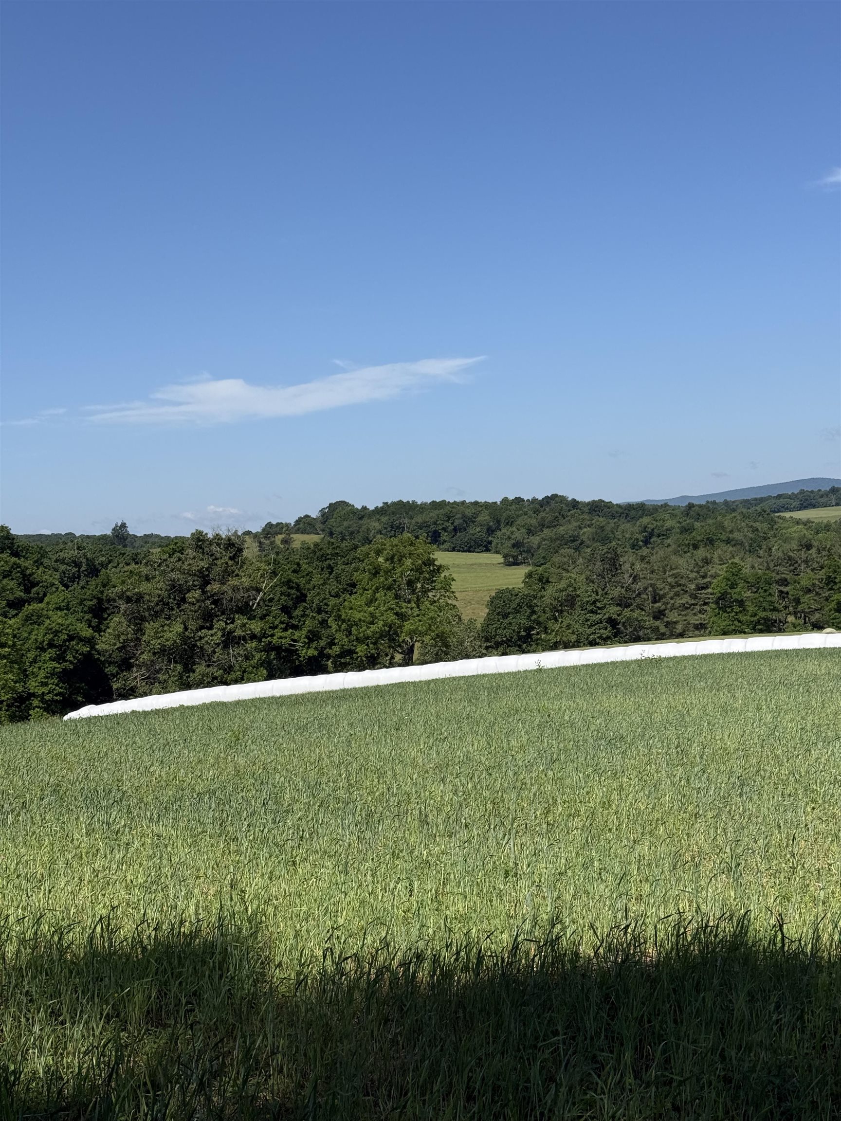 TBD ARBOR HILL RD, STAUNTON, Virginia 24401, ,Farm,TBD ARBOR HILL RD,678469 MLS # 678469 TBD ARBOR HILL RD, STAUNTON, Virginia 24401, ,Farm,TBD ARBOR HILL RD,678469 MLS # 678469