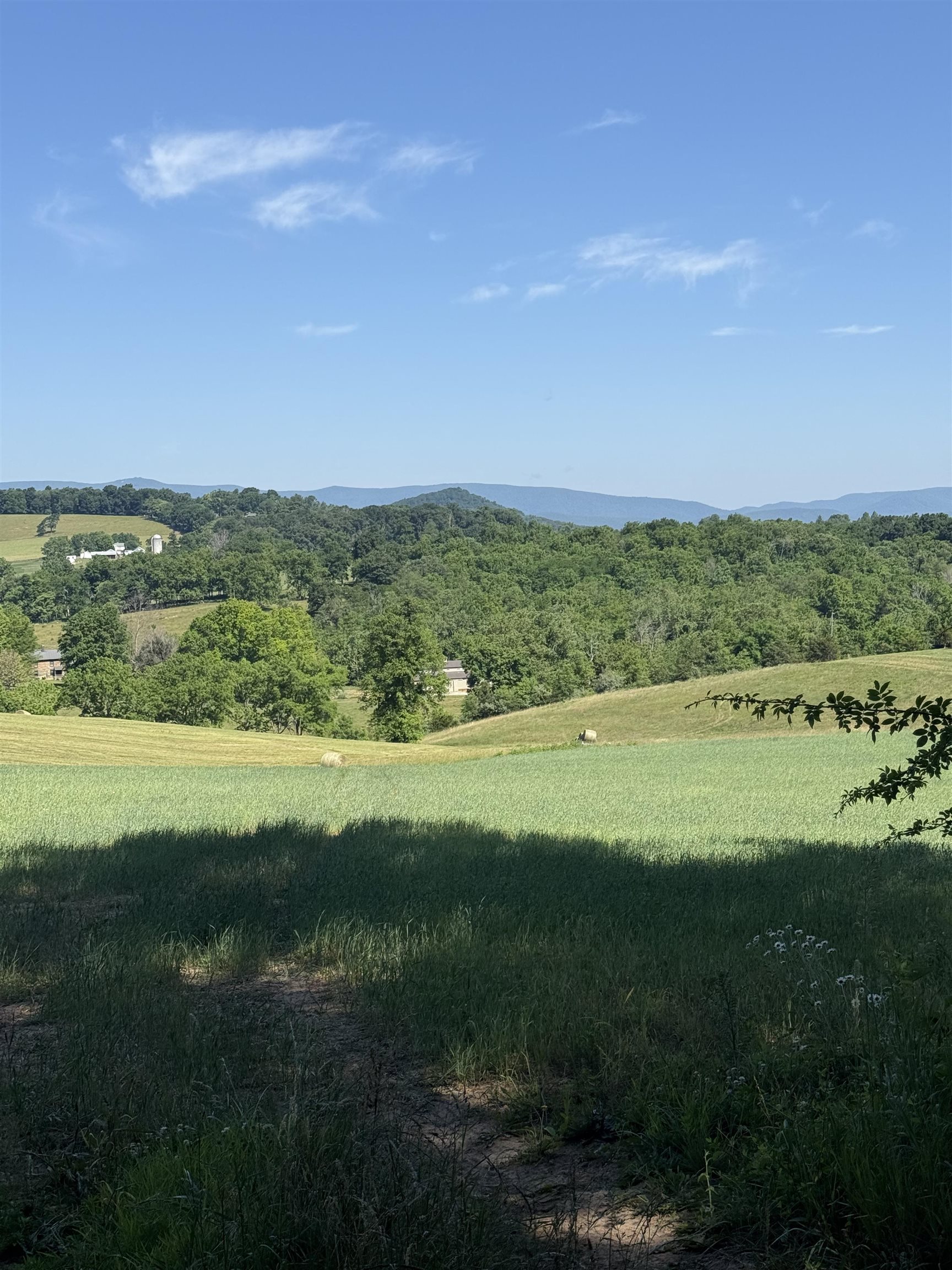 TBD ARBOR HILL RD, STAUNTON, Virginia 24401, ,Farm,TBD ARBOR HILL RD,678469 MLS # 678469 TBD ARBOR HILL RD, STAUNTON, Virginia 24401, ,Farm,TBD ARBOR HILL RD,678469 MLS # 678469
