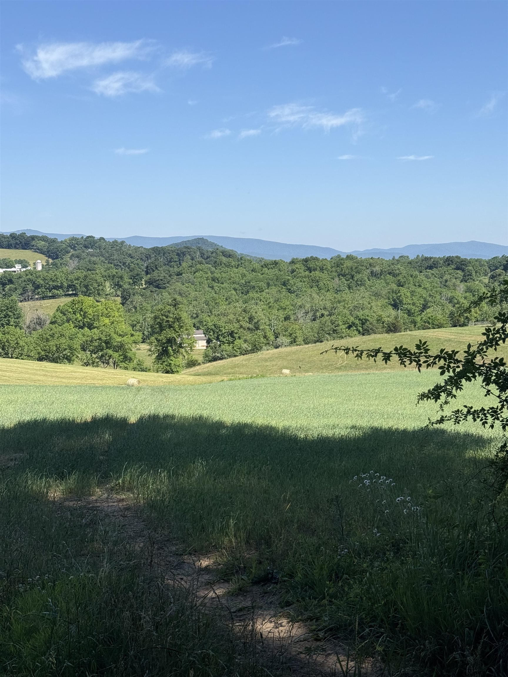 TBD ARBOR HILL RD, STAUNTON, Virginia 24401, ,Farm,TBD ARBOR HILL RD,678469 MLS # 678469 TBD ARBOR HILL RD, STAUNTON, Virginia 24401, ,Farm,TBD ARBOR HILL RD,678469 MLS # 678469