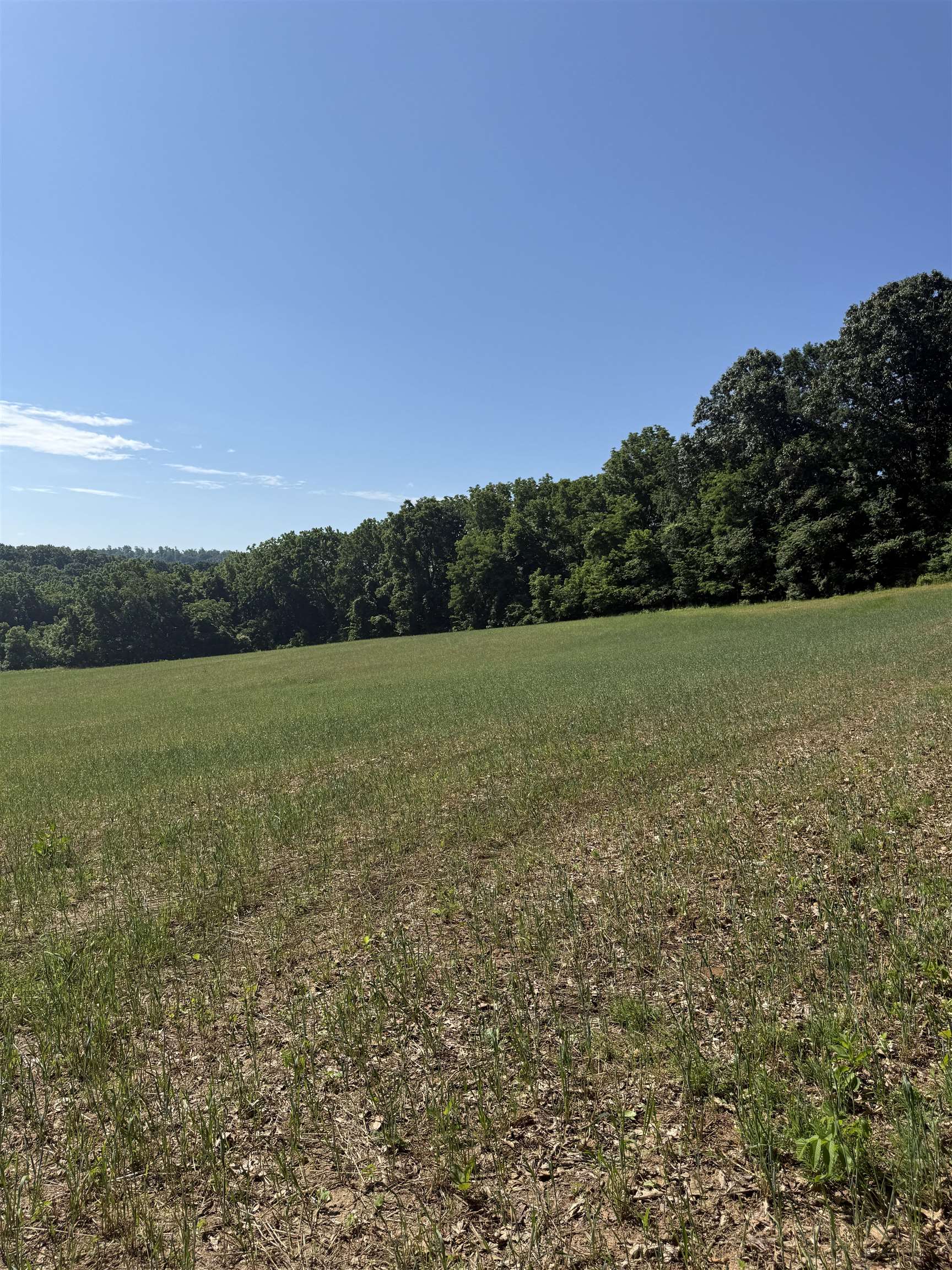TBD ARBOR HILL RD, STAUNTON, Virginia 24401, ,Farm,TBD ARBOR HILL RD,678469 MLS # 678469 TBD ARBOR HILL RD, STAUNTON, Virginia 24401, ,Farm,TBD ARBOR HILL RD,678469 MLS # 678469