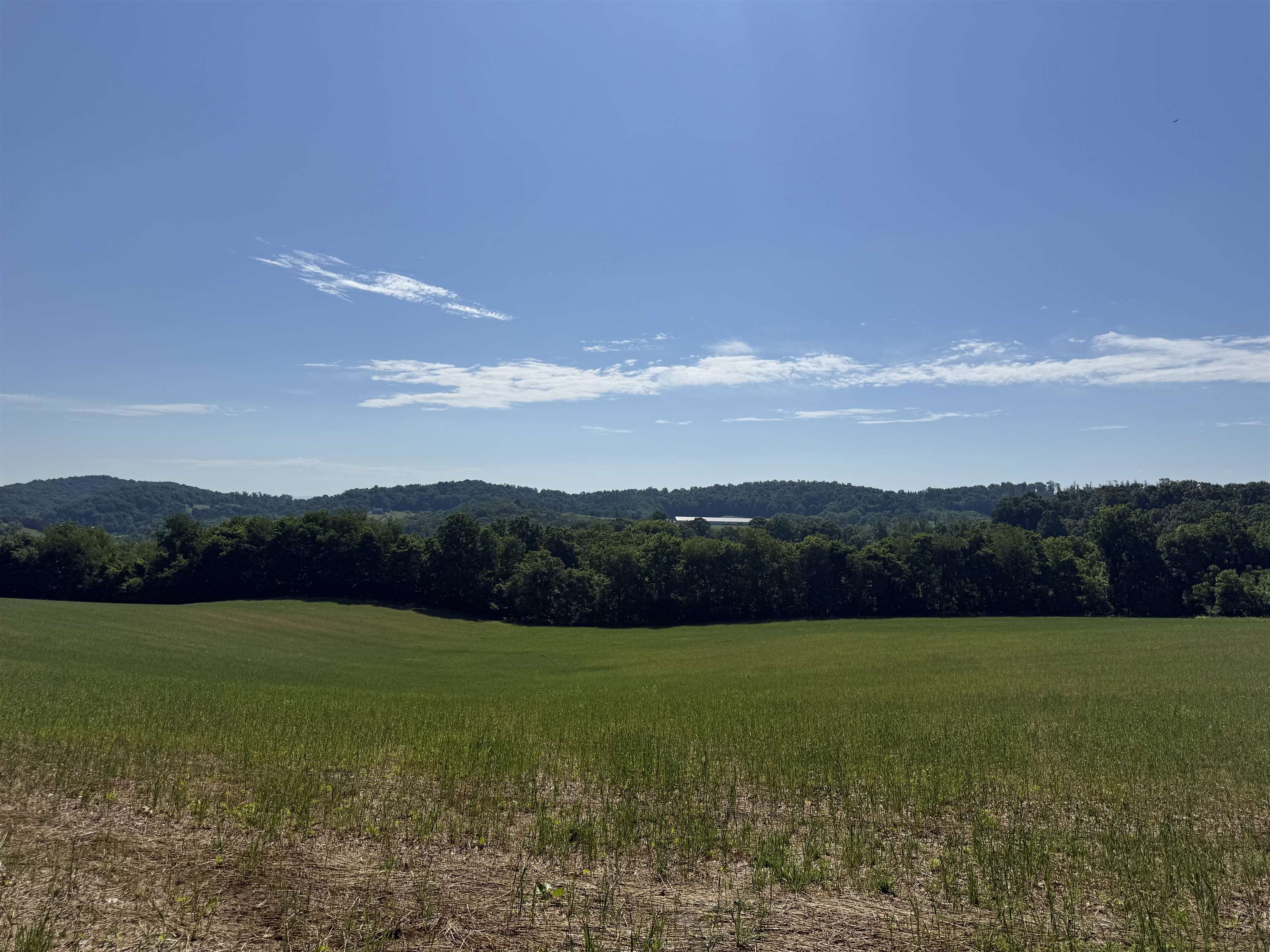 TBD ARBOR HILL RD, STAUNTON, Virginia 24401, ,Farm,TBD ARBOR HILL RD,678469 MLS # 678469 TBD ARBOR HILL RD, STAUNTON, Virginia 24401, ,Farm,TBD ARBOR HILL RD,678469 MLS # 678469