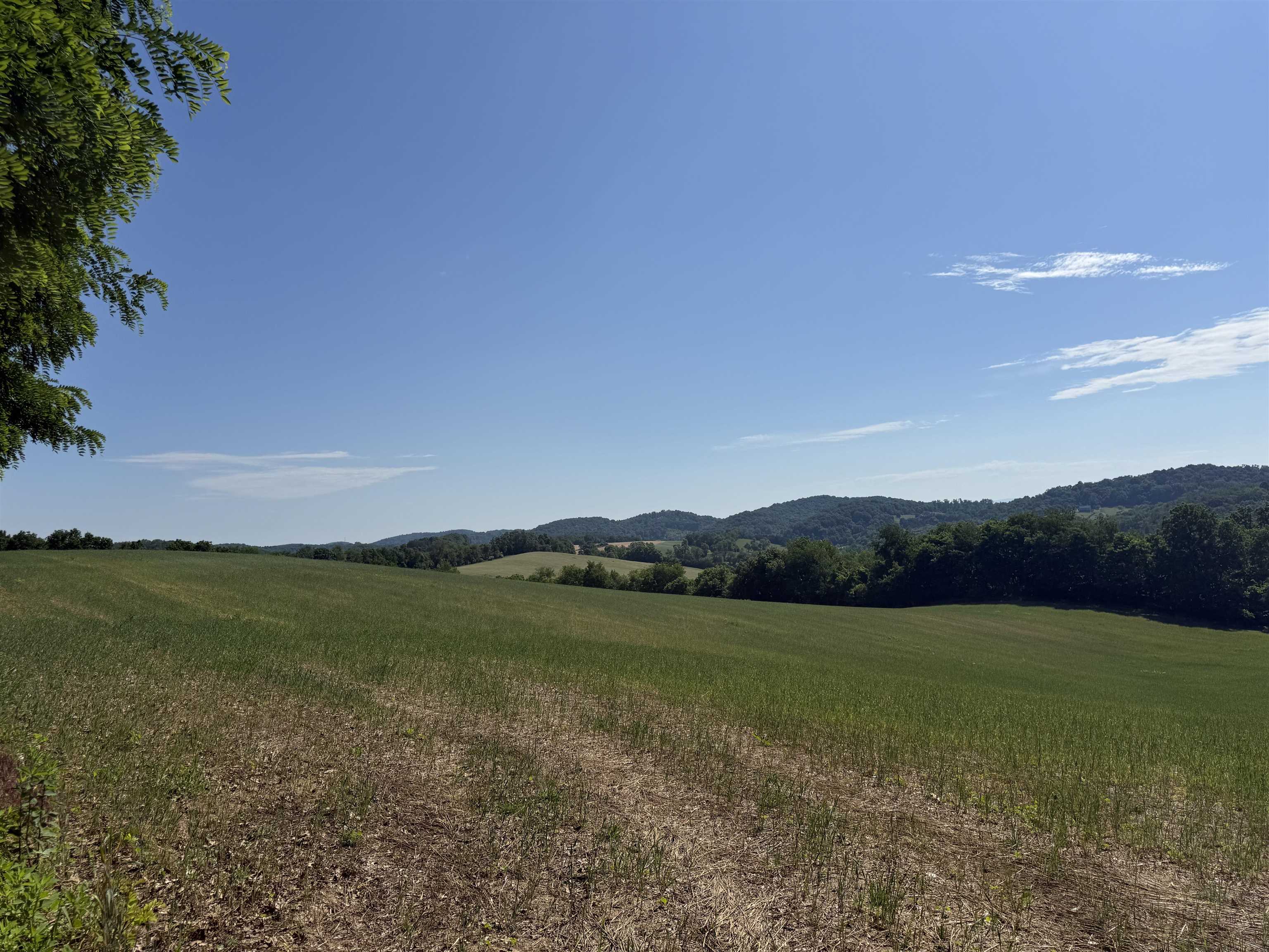 TBD ARBOR HILL RD, STAUNTON, Virginia 24401, ,Farm,TBD ARBOR HILL RD,678469 MLS # 678469 TBD ARBOR HILL RD, STAUNTON, Virginia 24401, ,Farm,TBD ARBOR HILL RD,678469 MLS # 678469