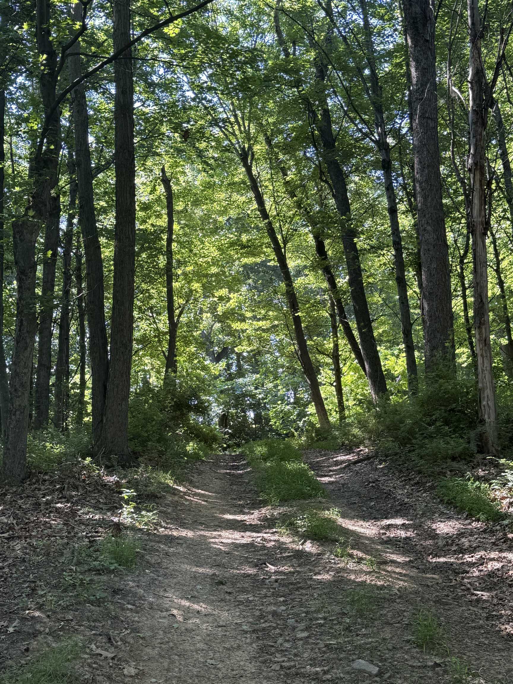 TBD ARBOR HILL RD, STAUNTON, Virginia 24401, ,Farm,TBD ARBOR HILL RD,678469 MLS # 678469 TBD ARBOR HILL RD, STAUNTON, Virginia 24401, ,Farm,TBD ARBOR HILL RD,678469 MLS # 678469