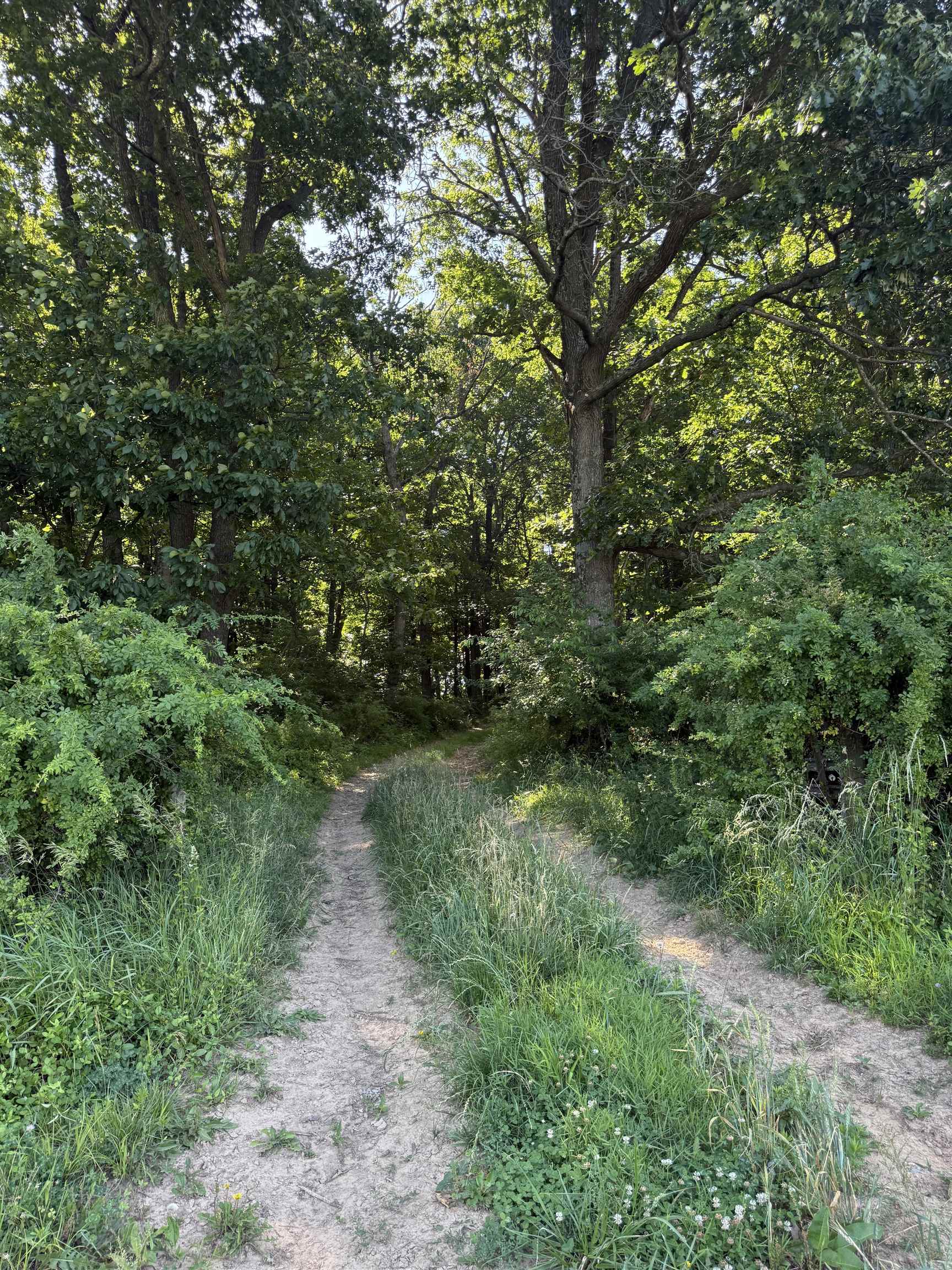 TBD ARBOR HILL RD, STAUNTON, Virginia 24401, ,Farm,TBD ARBOR HILL RD,678469 MLS # 678469 TBD ARBOR HILL RD, STAUNTON, Virginia 24401, ,Farm,TBD ARBOR HILL RD,678469 MLS # 678469