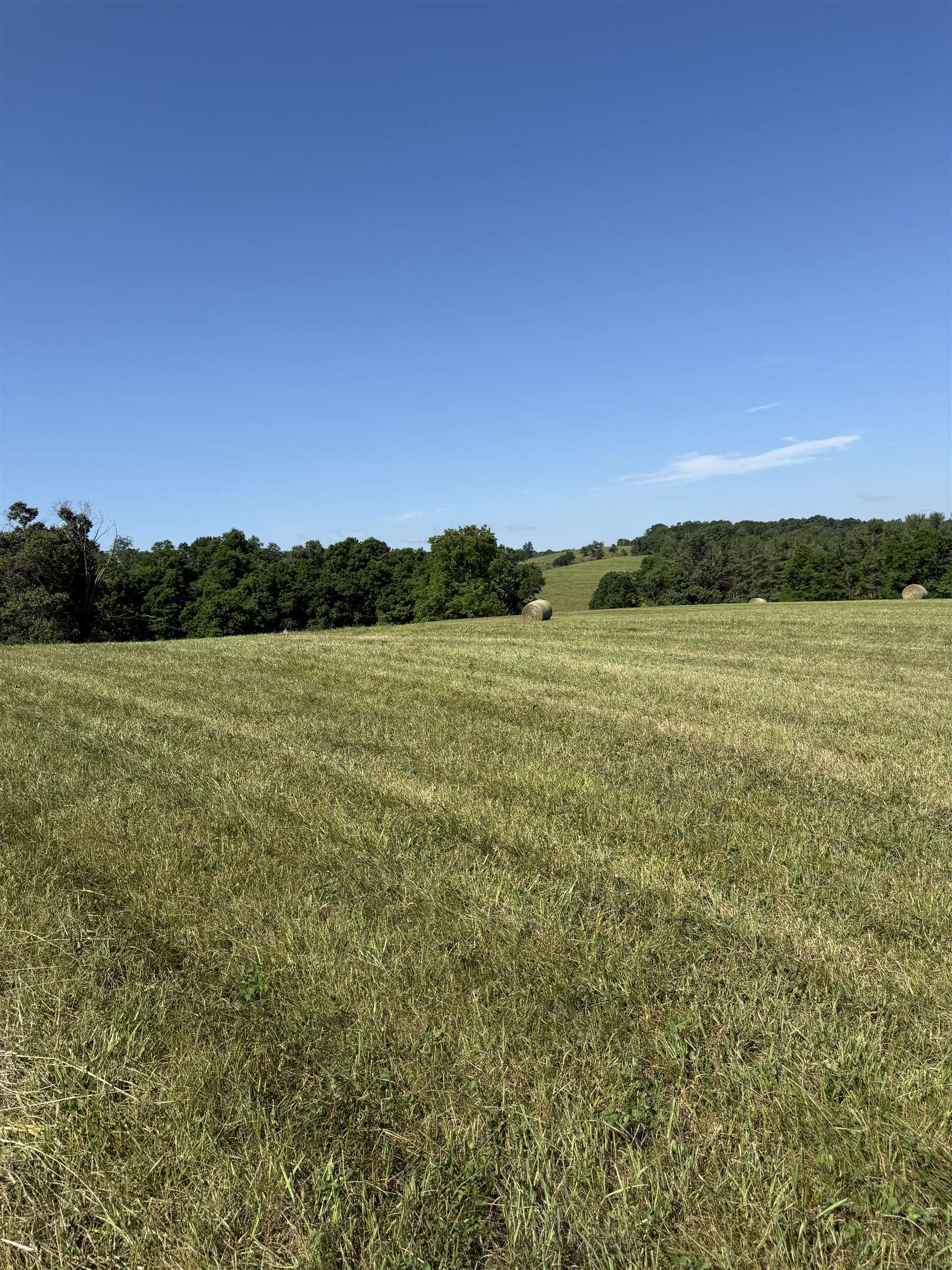 TBD ARBOR HILL RD, STAUNTON, Virginia 24401, ,Farm,TBD ARBOR HILL RD,678469 MLS # 678469 TBD ARBOR HILL RD, STAUNTON, Virginia 24401, ,Farm,TBD ARBOR HILL RD,678469 MLS # 678469