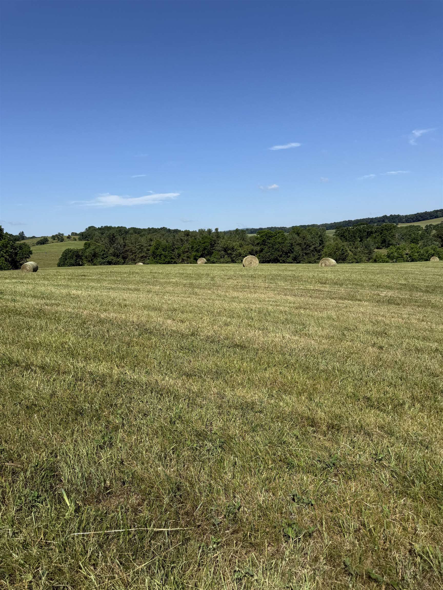 TBD ARBOR HILL RD, STAUNTON, Virginia 24401, ,Farm,TBD ARBOR HILL RD,678469 MLS # 678469 TBD ARBOR HILL RD, STAUNTON, Virginia 24401, ,Farm,TBD ARBOR HILL RD,678469 MLS # 678469