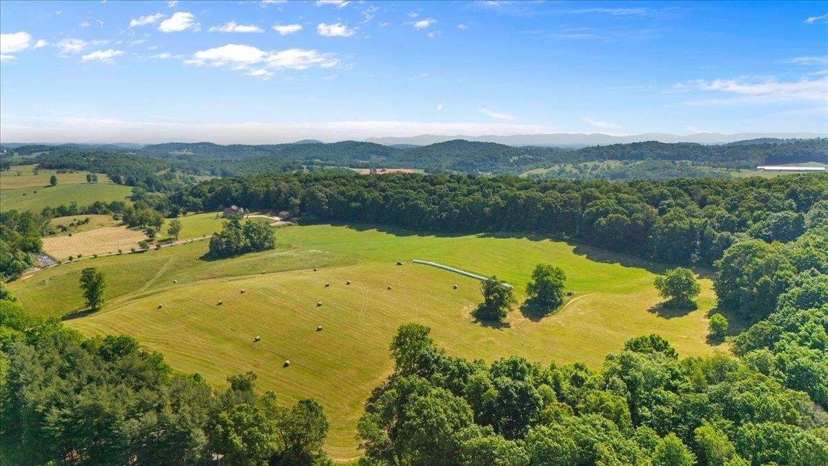 TBD ARBOR HILL RD, STAUNTON, Virginia 24401, ,Farm,TBD ARBOR HILL RD,678469 MLS # 678469 TBD ARBOR HILL RD, STAUNTON, Virginia 24401, ,Farm,TBD ARBOR HILL RD,678469 MLS # 678469