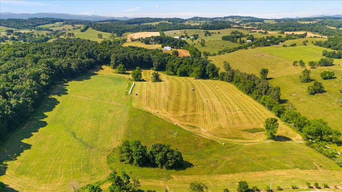 TBD ARBOR HILL RD, STAUNTON, Virginia 24401, ,Farm,TBD ARBOR HILL RD,678469 MLS # 678469 TBD ARBOR HILL RD, STAUNTON, Virginia 24401, ,Farm,TBD ARBOR HILL RD,678469 MLS # 678469