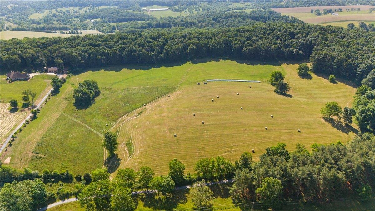 TBD ARBOR HILL RD, STAUNTON, Virginia 24401, ,Farm,TBD ARBOR HILL RD,678469 MLS # 678469 TBD ARBOR HILL RD, STAUNTON, Virginia 24401, ,Farm,TBD ARBOR HILL RD,678469 MLS # 678469