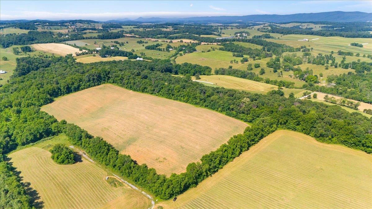 TBD ARBOR HILL RD, STAUNTON, Virginia 24401, ,Farm,TBD ARBOR HILL RD,678469 MLS # 678469 TBD ARBOR HILL RD, STAUNTON, Virginia 24401, ,Farm,TBD ARBOR HILL RD,678469 MLS # 678469
