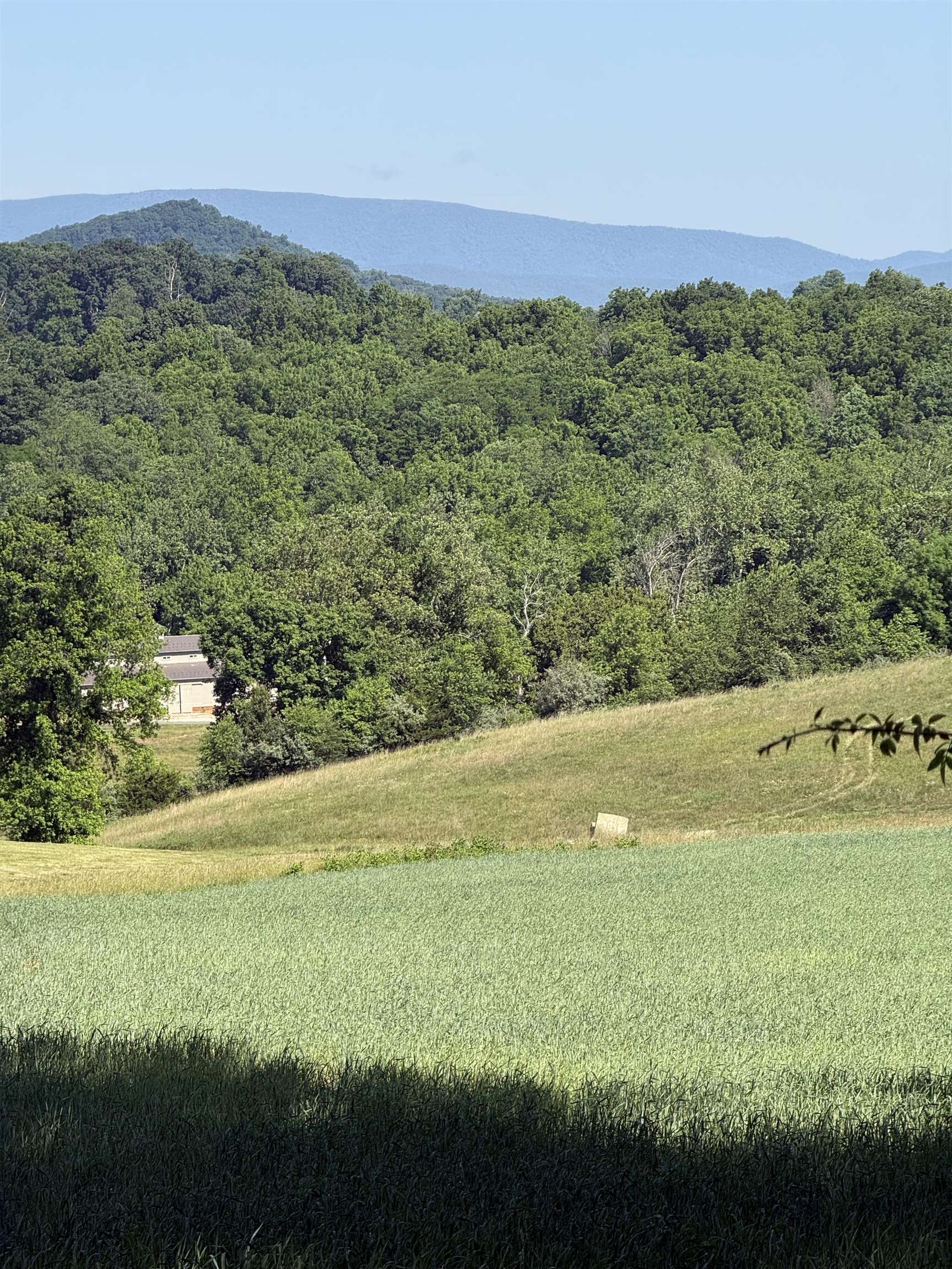 TBD ARBOR HILL RD, STAUNTON, Virginia 24401, ,Farm,TBD ARBOR HILL RD,678469 MLS # 678469 TBD ARBOR HILL RD, STAUNTON, Virginia 24401, ,Farm,TBD ARBOR HILL RD,678469 MLS # 678469