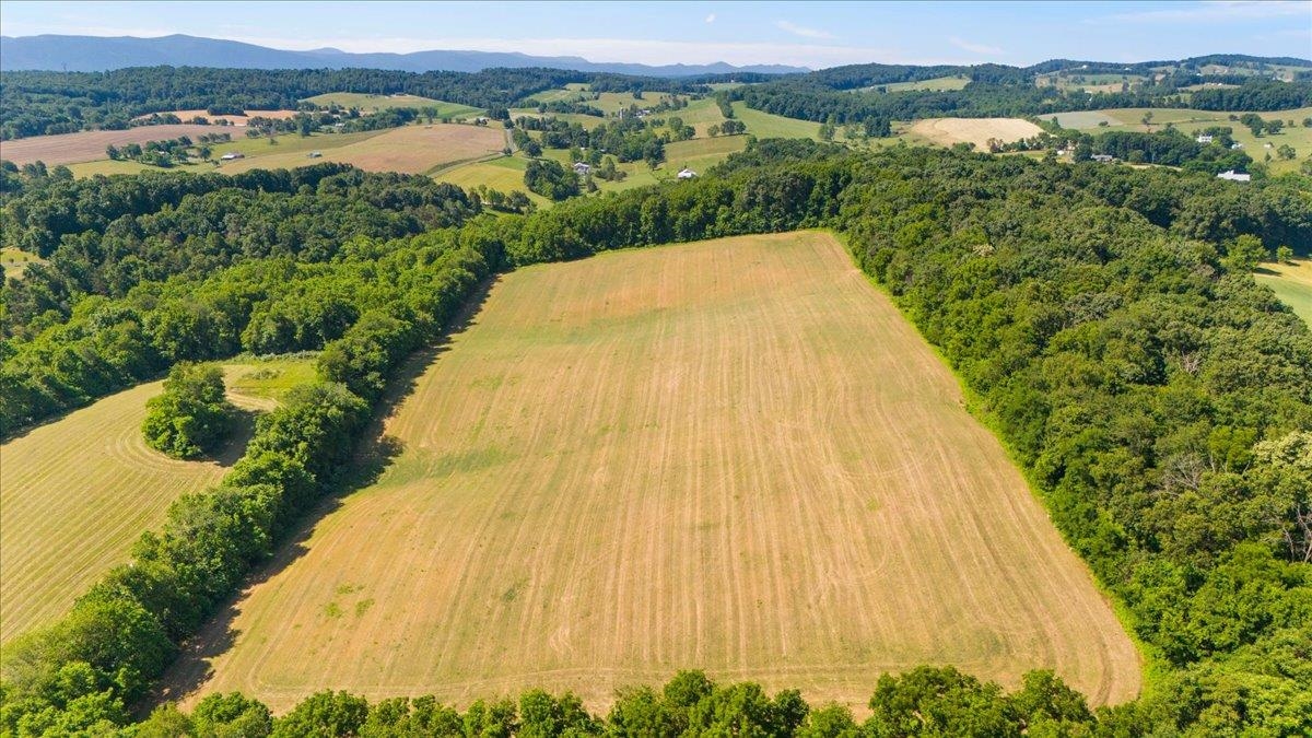 TBD ARBOR HILL RD, STAUNTON, Virginia 24401, ,Farm,TBD ARBOR HILL RD,678469 MLS # 678469 TBD ARBOR HILL RD, STAUNTON, Virginia 24401, ,Farm,TBD ARBOR HILL RD,678469 MLS # 678469