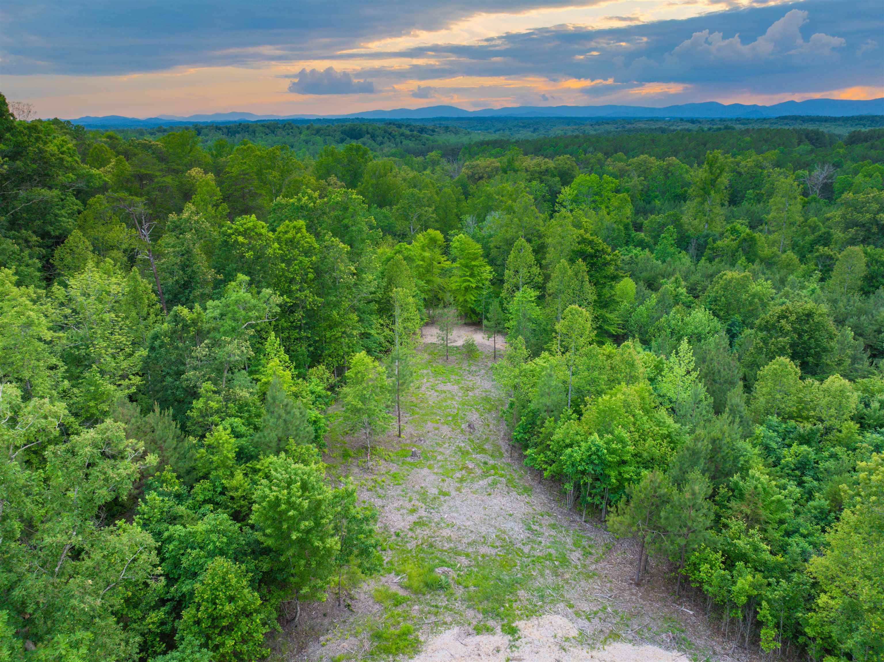 0 GILBERT STATION RD, BARBOURSVILLE, Virginia 22923, ,Land,0 GILBERT STATION RD,678516 MLS # 678516