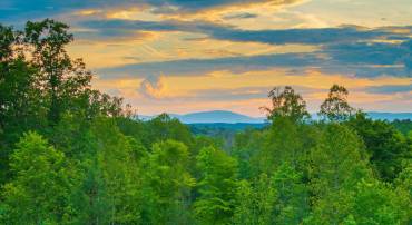 0 GILBERT STATION RD, BARBOURSVILLE, Virginia 22923, ,Land,0 GILBERT STATION RD,678516 MLS # 678516