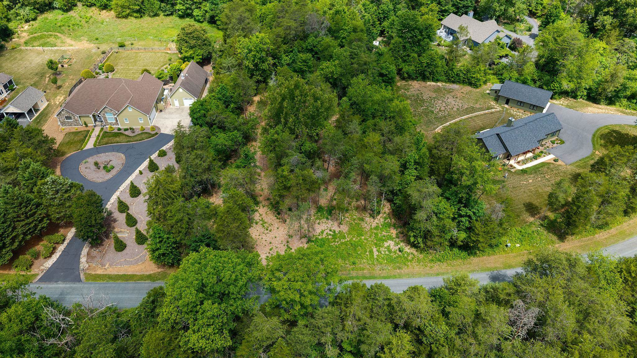 717 CEDAR MEADOW DR, NELLYSFORD, Virginia 22958, ,Land,717 CEDAR MEADOW DR,678529 MLS # 678529