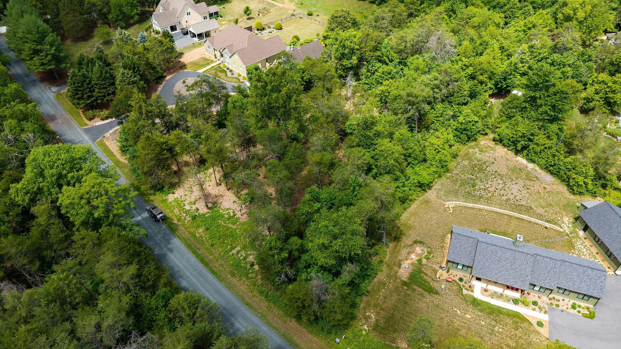 717 CEDAR MEADOW DR, NELLYSFORD, Virginia 22958, ,Land,717 CEDAR MEADOW DR,678529 MLS # 678529