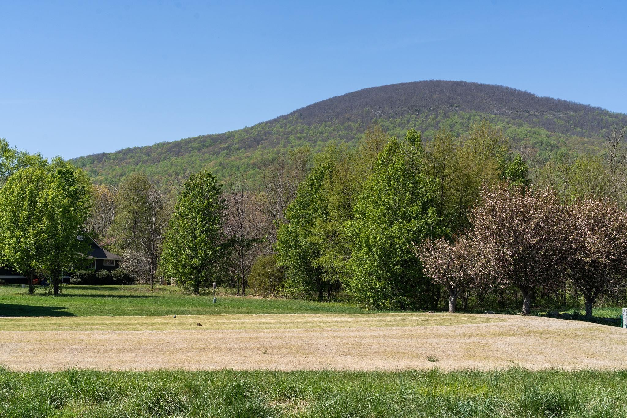 717 CEDAR MEADOW DR, NELLYSFORD, Virginia 22958, ,Land,717 CEDAR MEADOW DR,678529 MLS # 678529