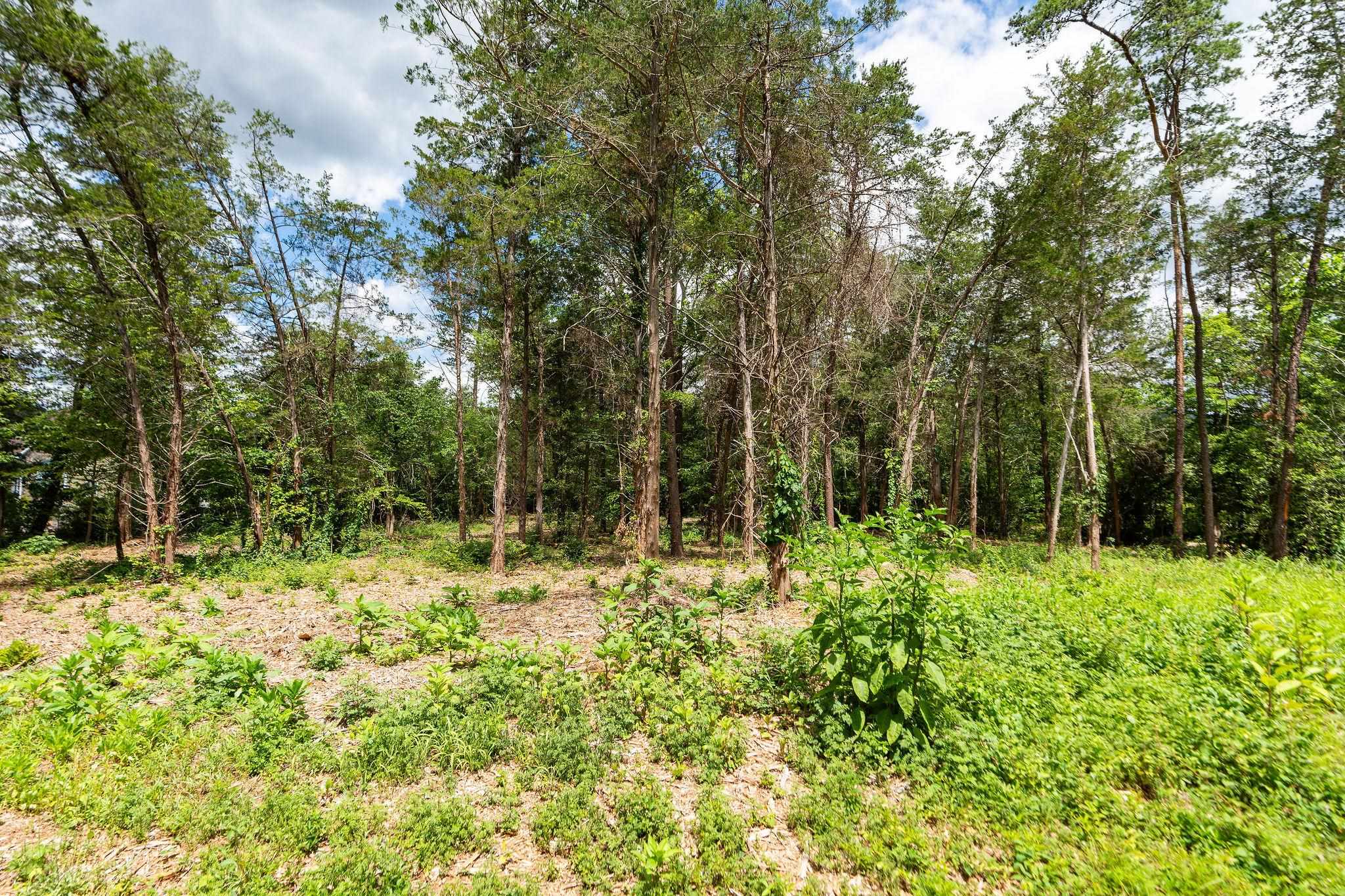 717 CEDAR MEADOW DR, NELLYSFORD, Virginia 22958, ,Land,717 CEDAR MEADOW DR,678529 MLS # 678529