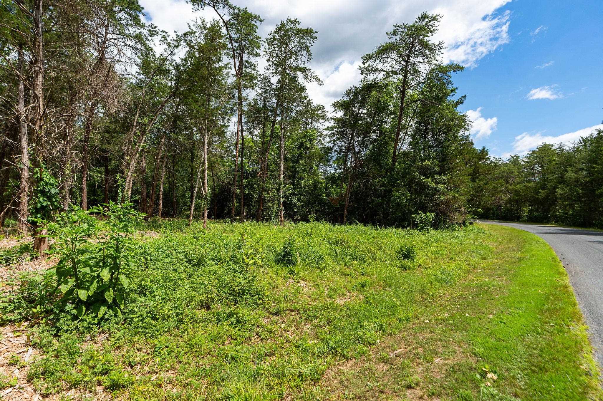 717 CEDAR MEADOW DR, NELLYSFORD, Virginia 22958, ,Land,717 CEDAR MEADOW DR,678529 MLS # 678529