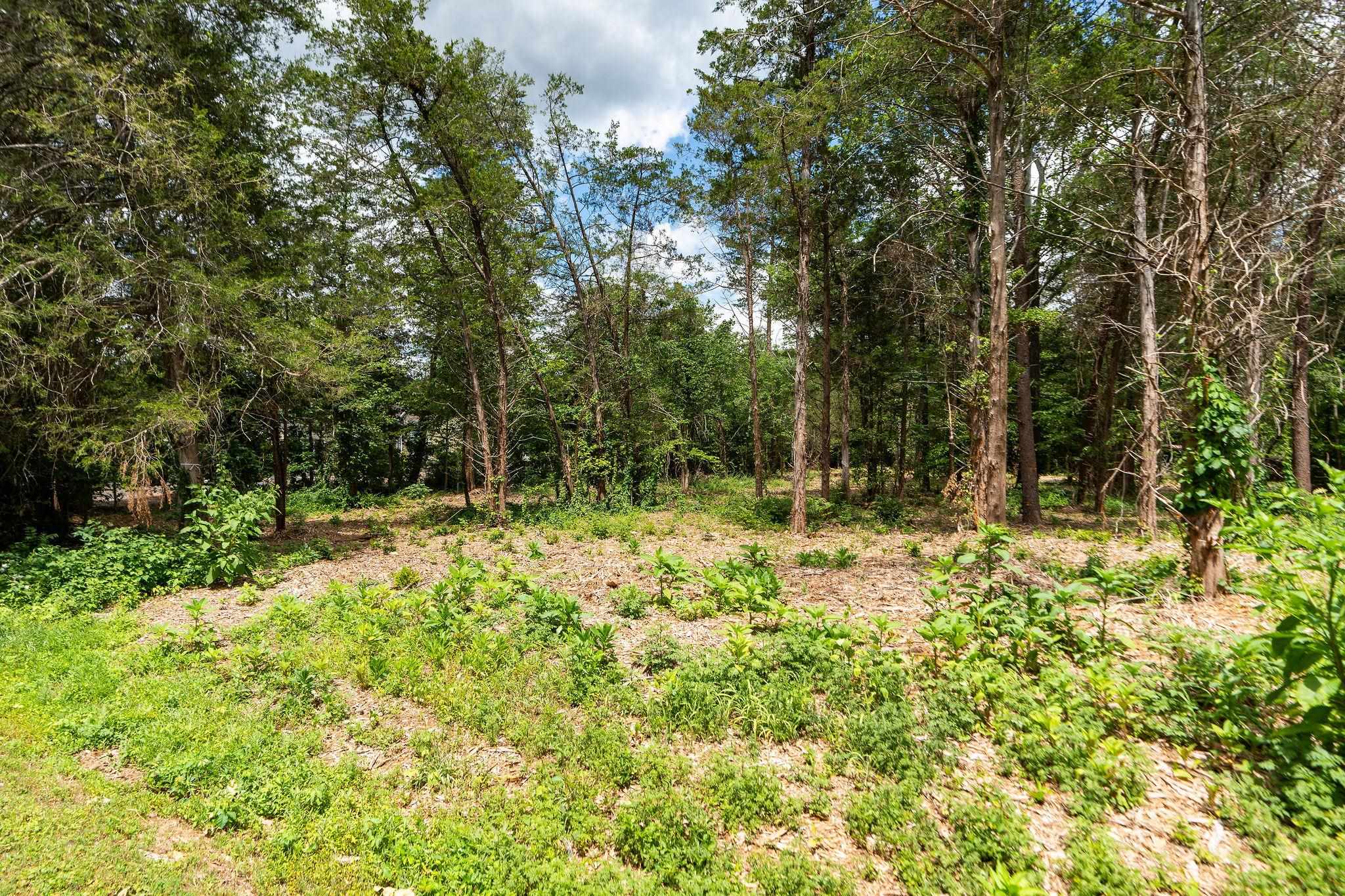 717 CEDAR MEADOW DR, NELLYSFORD, Virginia 22958, ,Land,717 CEDAR MEADOW DR,678529 MLS # 678529