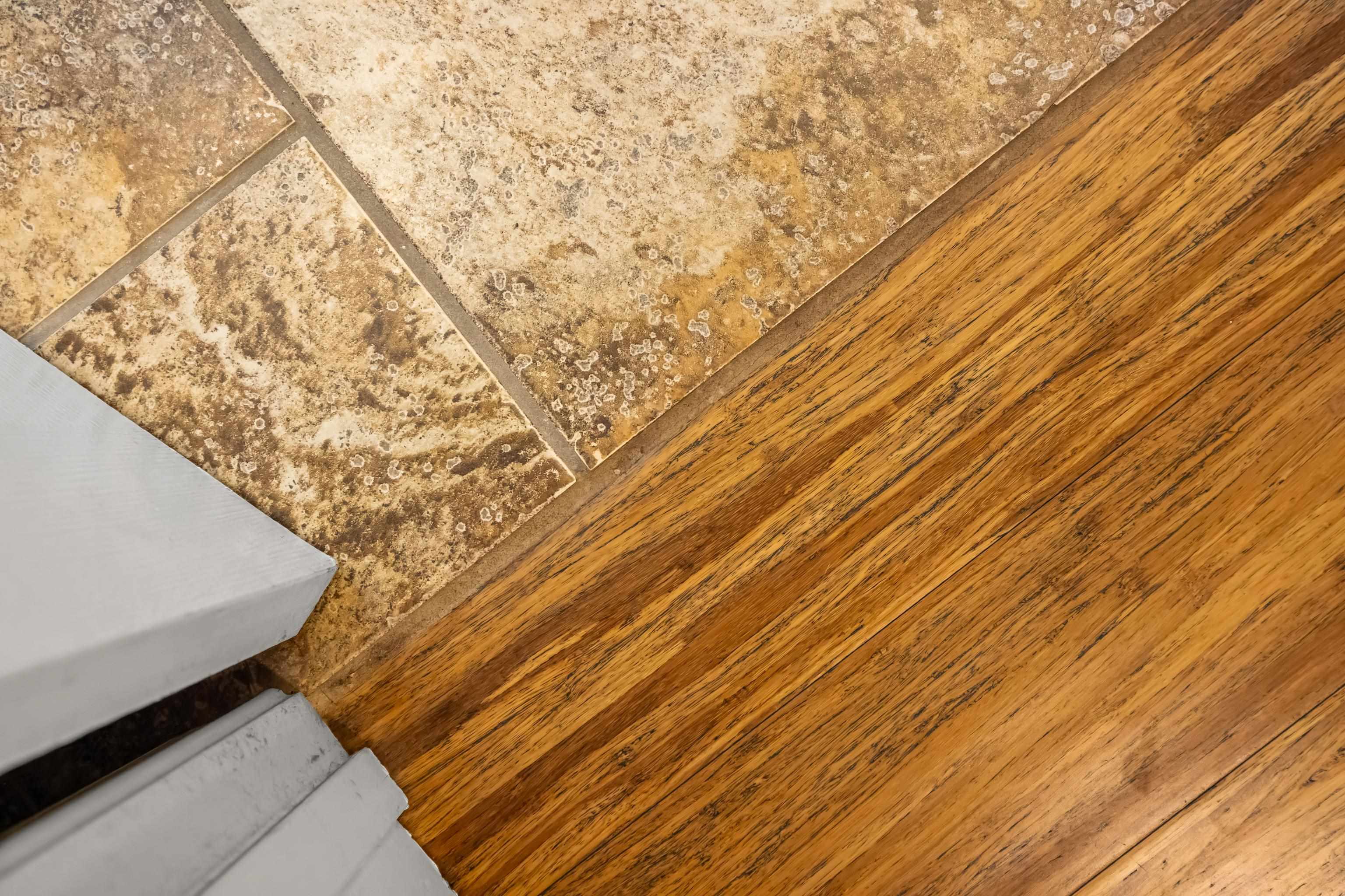 88 PIN OAK LN, MOUNT JACKSON, Virginia 22842, 5 Bedrooms Bedrooms, ,3 BathroomsBathrooms,Residential,88 PIN OAK LN,678522 MLS # 678522 88 PIN OAK LN, MOUNT JACKSON, Virginia 22842, 5 Bedrooms Bedrooms, ,3 BathroomsBathrooms,Residential,88 PIN OAK LN,678522 MLS # 678522