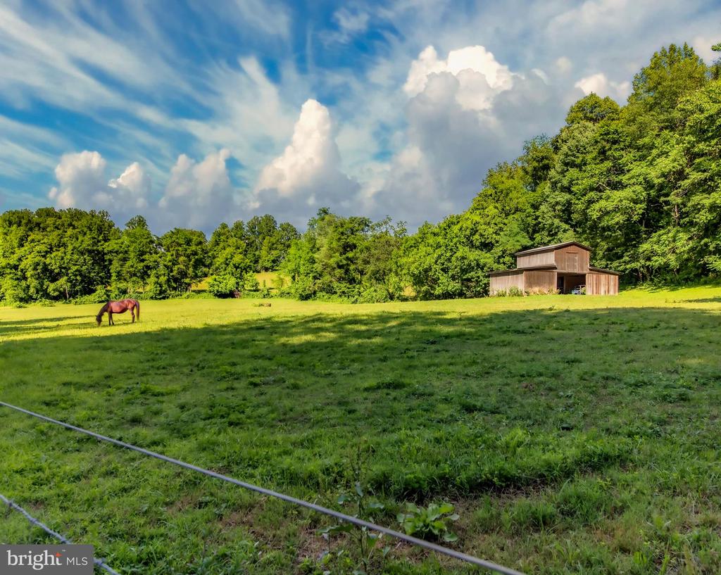4028 S F T VALLEY RD, ETLAN, Virginia 22719, 5 Bedrooms Bedrooms, ,5 BathroomsBathrooms,Residential,4028 S F T VALLEY RD,VAMA2002818 MLS # VAMA2002818 4028 S F T VALLEY RD, ETLAN, Virginia 22719, 5 Bedrooms Bedrooms, ,5 BathroomsBathrooms,Residential,4028 S F T VALLEY RD,VAMA2002818 MLS # VAMA2002818