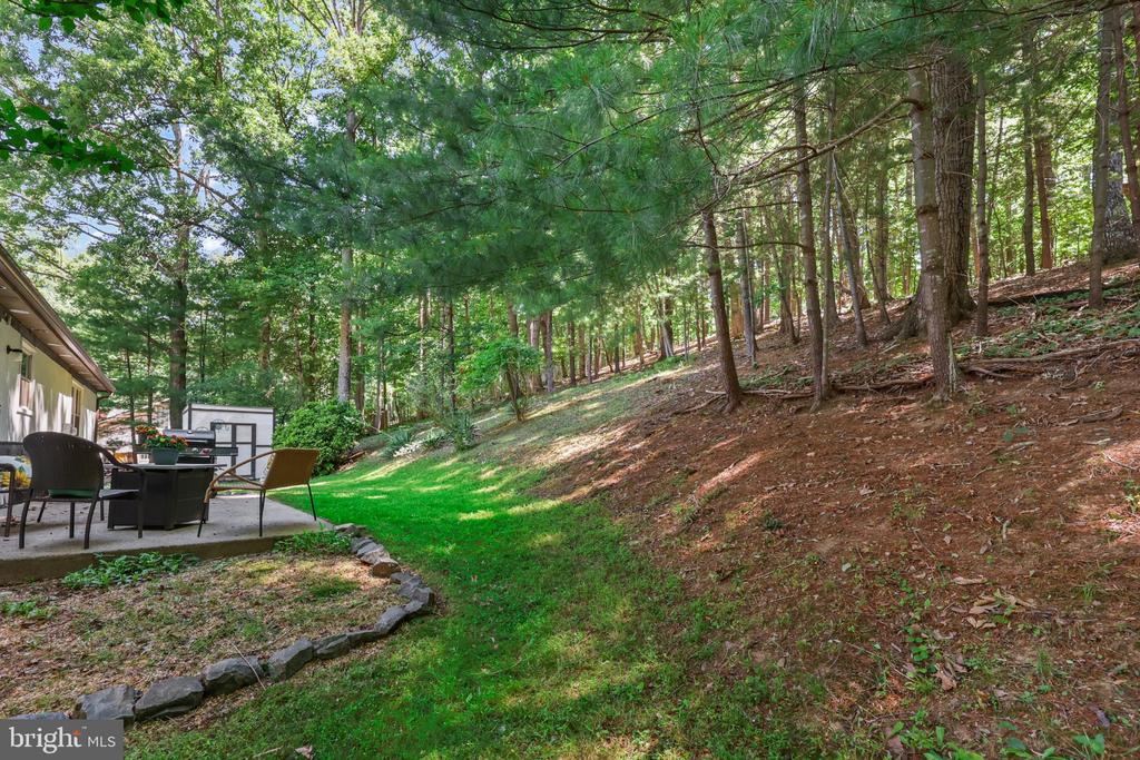 7357 AUBURN MILL RD, WARRENTON, Virginia 20187, 3 Bedrooms Bedrooms, ,2 BathroomsBathrooms,Residential,7357 AUBURN MILL RD,VAFQ2022588 MLS # VAFQ2022588 7357 AUBURN MILL RD, WARRENTON, Virginia 20187, 3 Bedrooms Bedrooms, ,2 BathroomsBathrooms,Residential,7357 AUBURN MILL RD,VAFQ2022588 MLS # VAFQ2022588