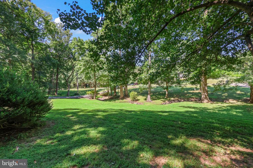 7357 AUBURN MILL RD, WARRENTON, Virginia 20187, 3 Bedrooms Bedrooms, ,2 BathroomsBathrooms,Residential,7357 AUBURN MILL RD,VAFQ2022588 MLS # VAFQ2022588 7357 AUBURN MILL RD, WARRENTON, Virginia 20187, 3 Bedrooms Bedrooms, ,2 BathroomsBathrooms,Residential,7357 AUBURN MILL RD,VAFQ2022588 MLS # VAFQ2022588