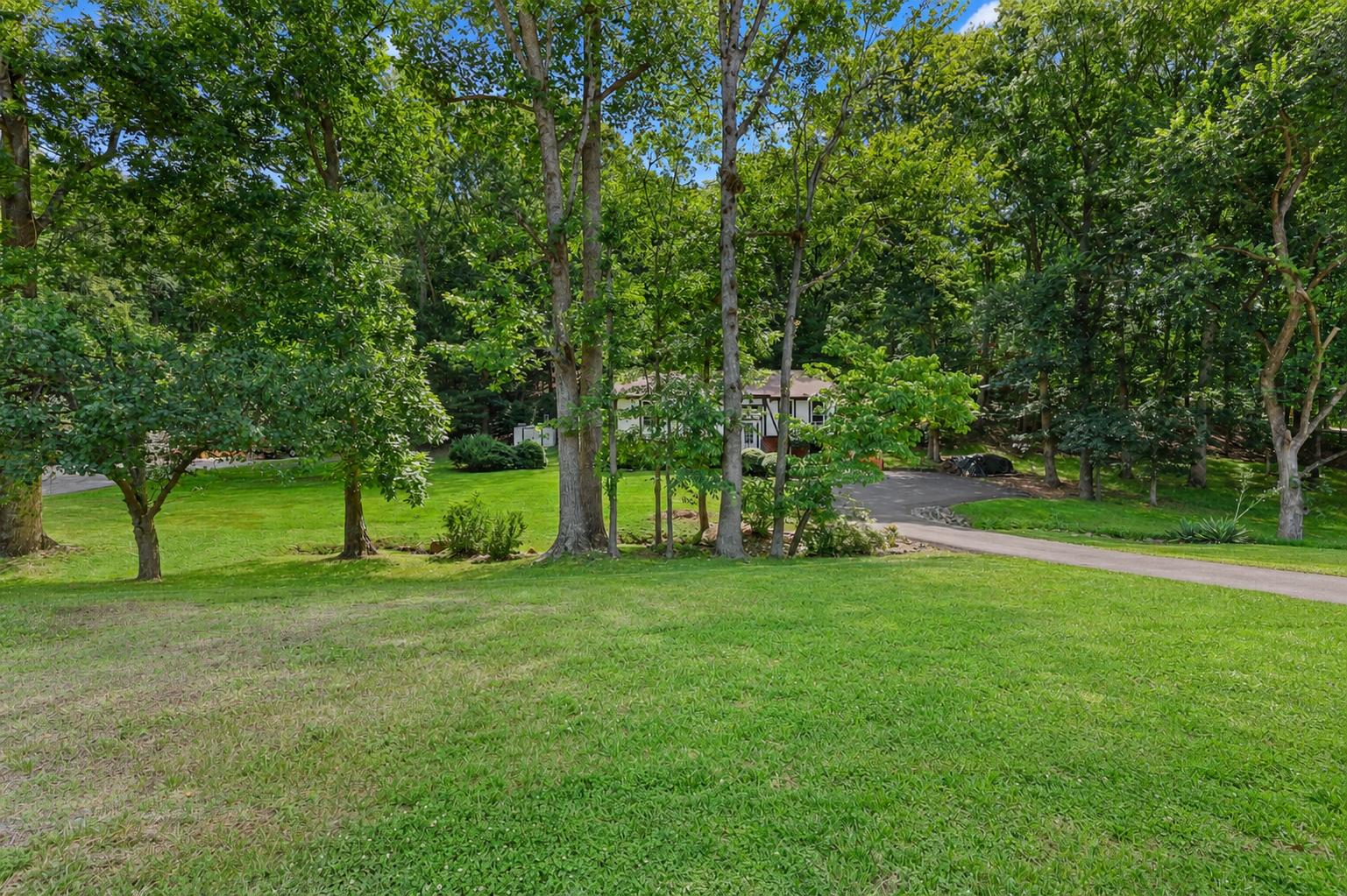 7357 AUBURN MILL RD, WARRENTON, Virginia 20187, 3 Bedrooms Bedrooms, ,2 BathroomsBathrooms,Residential,7357 AUBURN MILL RD,VAFQ2022588 MLS # VAFQ2022588 7357 AUBURN MILL RD, WARRENTON, Virginia 20187, 3 Bedrooms Bedrooms, ,2 BathroomsBathrooms,Residential,7357 AUBURN MILL RD,VAFQ2022588 MLS # VAFQ2022588