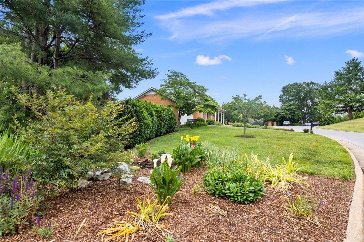 610 WOODMONT DR, STAUNTON, Virginia 24401, 4 Bedrooms Bedrooms, ,3 BathroomsBathrooms,Residential,610 WOODMONT DR,678449 MLS # 678449 610 WOODMONT DR, STAUNTON, Virginia 24401, 4 Bedrooms Bedrooms, ,3 BathroomsBathrooms,Residential,610 WOODMONT DR,678449 MLS # 678449