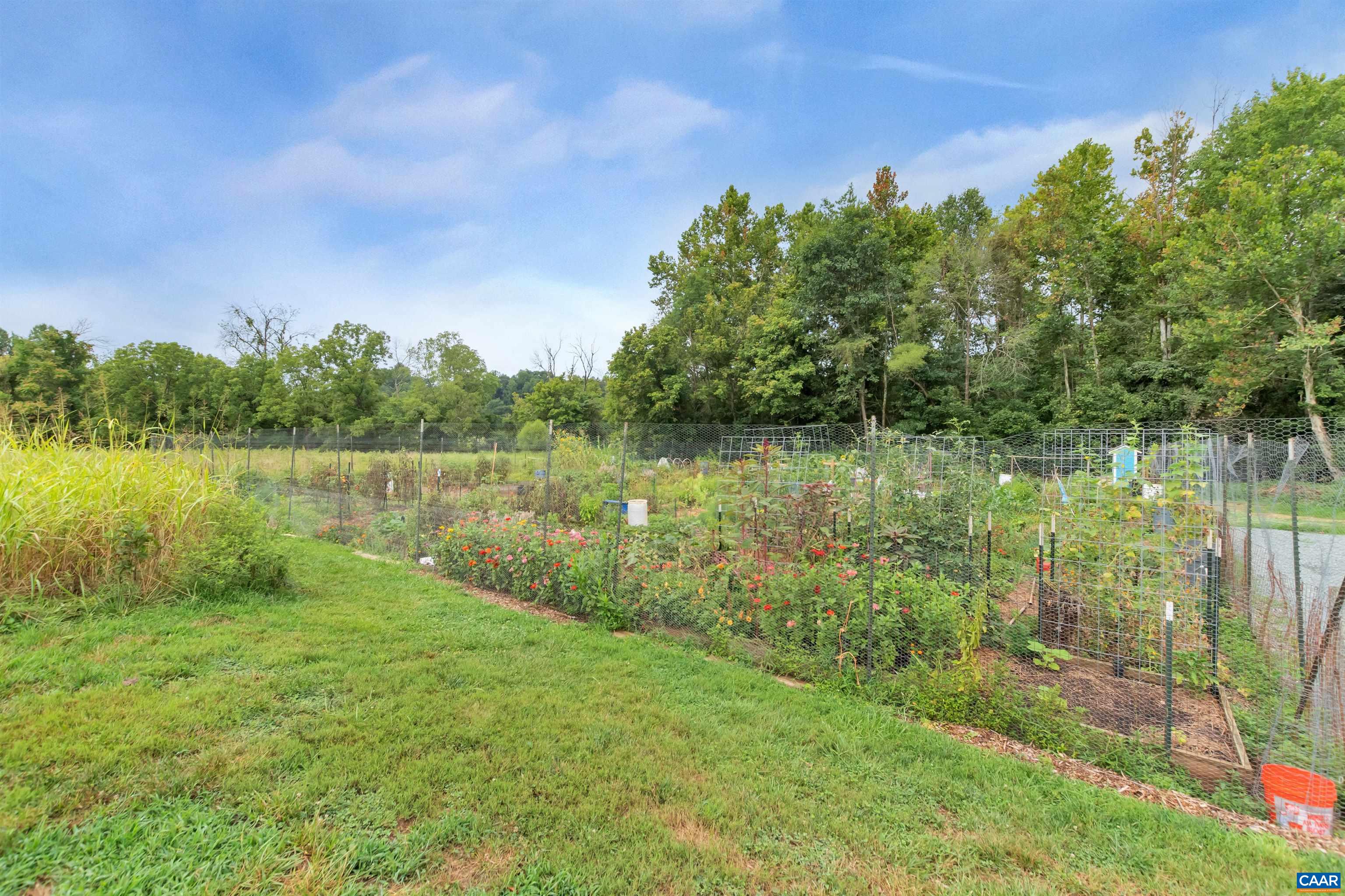 970 CHARTER OAKS DR, CHARLOTTESVILLE, Virginia 22901, 3 Bedrooms Bedrooms, ,2 BathroomsBathrooms,Residential,970 CHARTER OAKS DR,678530 MLS # 678530