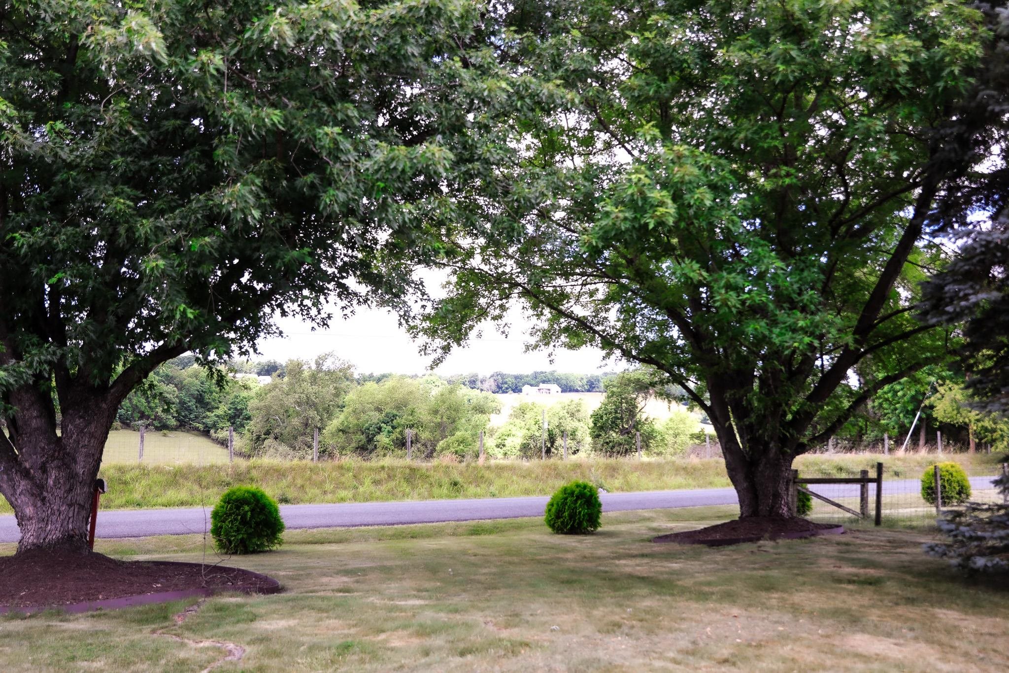 3592 OLD GREENVILLE RD, STAUNTON, Virginia 24401, 2 Bedrooms Bedrooms, ,1 BathroomBathrooms,Residential,Lerty Humphries Estate,3592 OLD GREENVILLE RD,678532 MLS # 678532 3592 OLD GREENVILLE RD, STAUNTON, Virginia 24401, 2 Bedrooms Bedrooms, ,1 BathroomBathrooms,Residential,Lerty Humphries Estate,3592 OLD GREENVILLE RD,678532 MLS # 678532