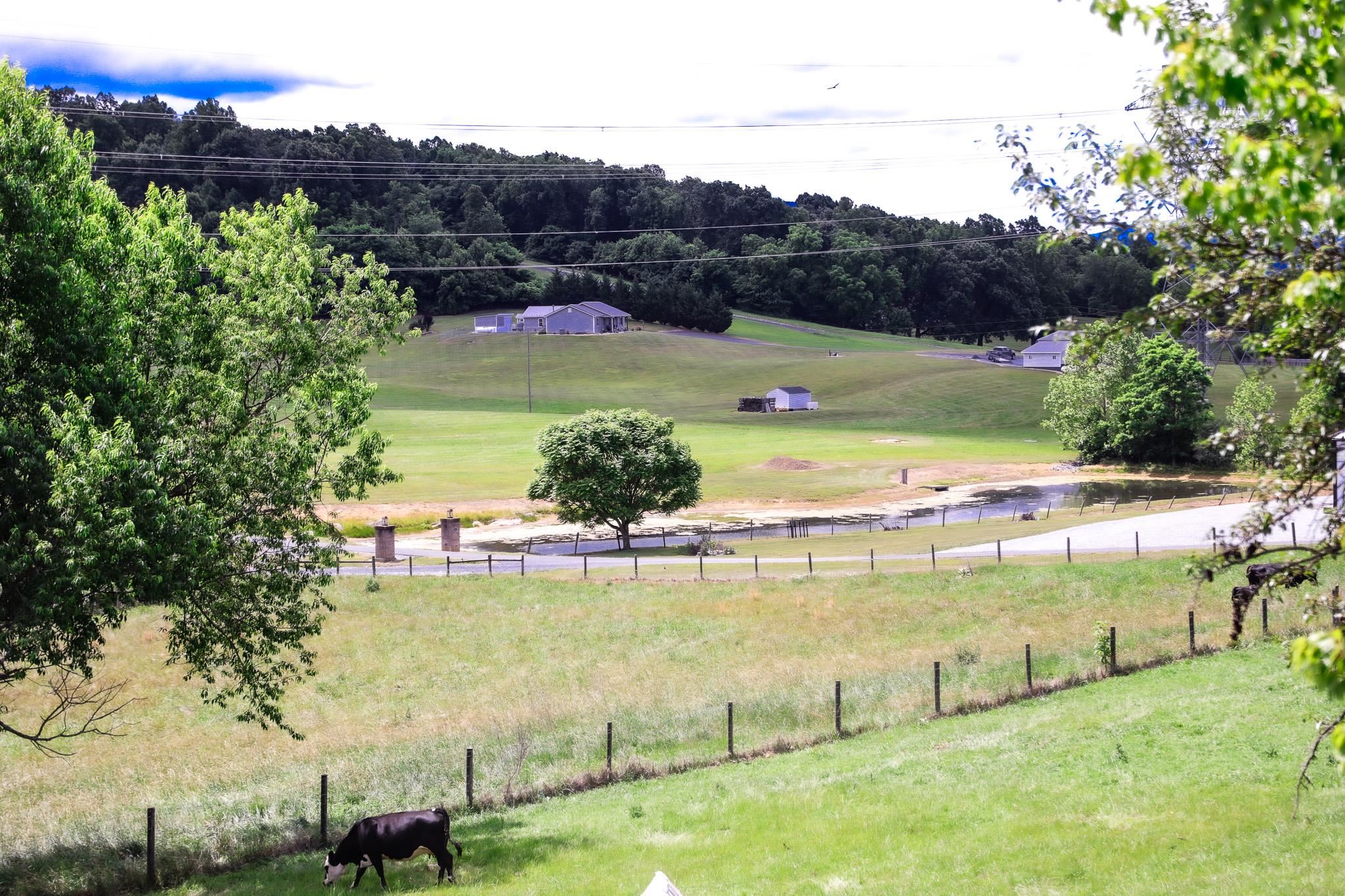 3592 OLD GREENVILLE RD, STAUNTON, Virginia 24401, 2 Bedrooms Bedrooms, ,1 BathroomBathrooms,Residential,Lerty Humphries Estate,3592 OLD GREENVILLE RD,678532 MLS # 678532 3592 OLD GREENVILLE RD, STAUNTON, Virginia 24401, 2 Bedrooms Bedrooms, ,1 BathroomBathrooms,Residential,Lerty Humphries Estate,3592 OLD GREENVILLE RD,678532 MLS # 678532