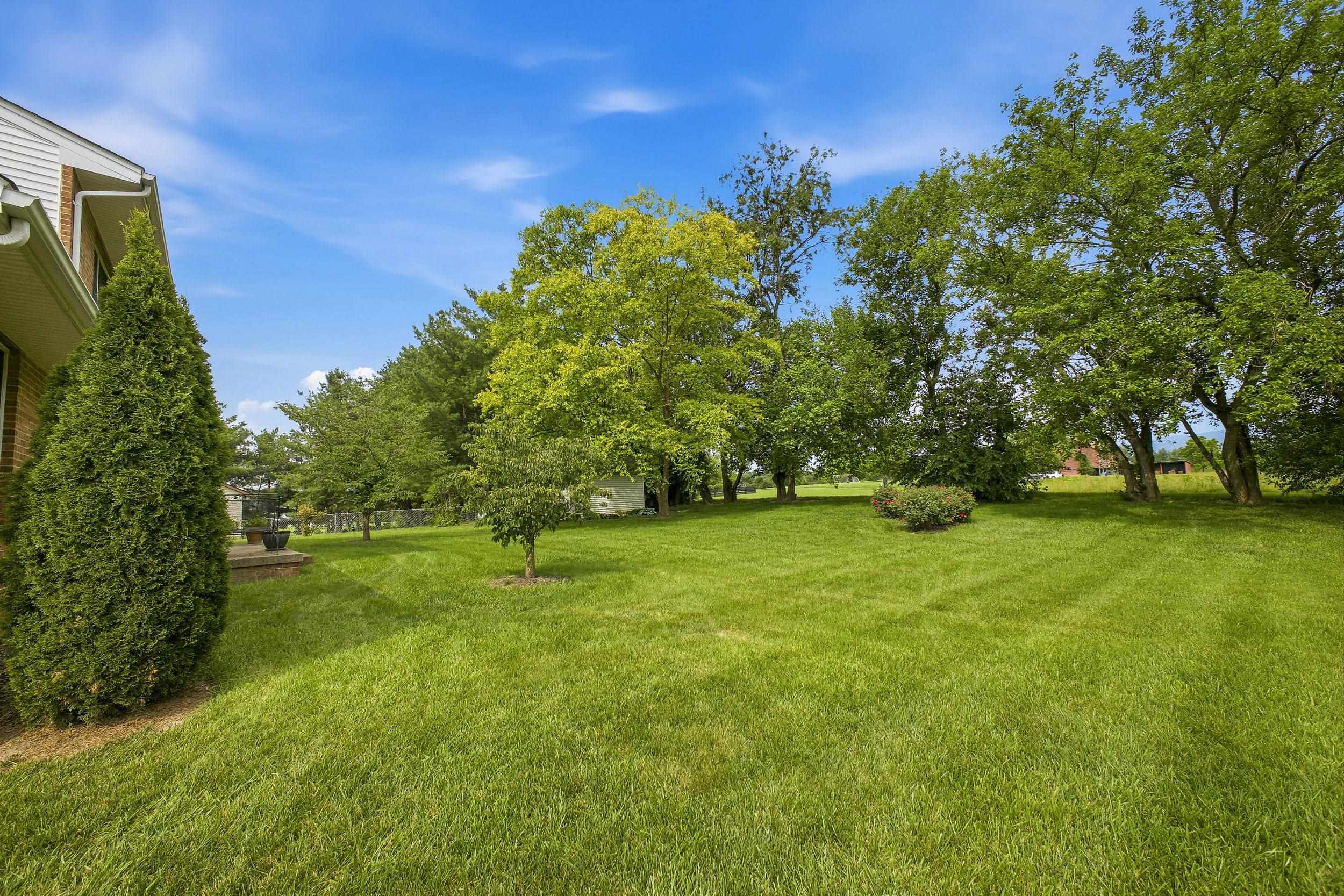 415 KERN ST, WOODSTOCK, Virginia 22664, 4 Bedrooms Bedrooms, ,2 BathroomsBathrooms,Residential,415 KERN ST,678543 MLS # 678543 415 KERN ST, WOODSTOCK, Virginia 22664, 4 Bedrooms Bedrooms, ,2 BathroomsBathrooms,Residential,415 KERN ST,678543 MLS # 678543