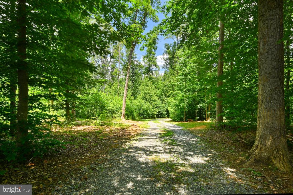 4528 E OLD MOUNTAIN RD, LOUISA, Virginia 23093, 4 Bedrooms Bedrooms, ,2 BathroomsBathrooms,Residential,4528 E OLD MOUNTAIN RD,VALA2010056 MLS # VALA2010056 4528 E OLD MOUNTAIN RD, LOUISA, Virginia 23093, 4 Bedrooms Bedrooms, ,2 BathroomsBathrooms,Residential,4528 E OLD MOUNTAIN RD,VALA2010056 MLS # VALA2010056
