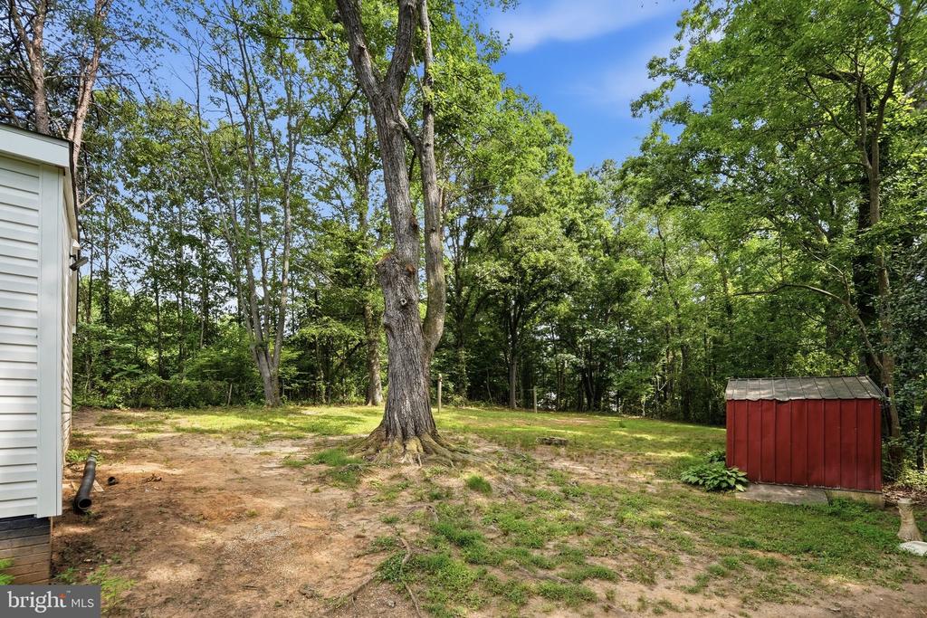 11441 SPERRYVILLE PIKE, CULPEPER, Virginia 22701, 3 Bedrooms Bedrooms, ,2 BathroomsBathrooms,Residential,11441 SPERRYVILLE PIKE,VACU2014094 MLS # VACU2014094 11441 SPERRYVILLE PIKE, CULPEPER, Virginia 22701, 3 Bedrooms Bedrooms, ,2 BathroomsBathrooms,Residential,11441 SPERRYVILLE PIKE,VACU2014094 MLS # VACU2014094