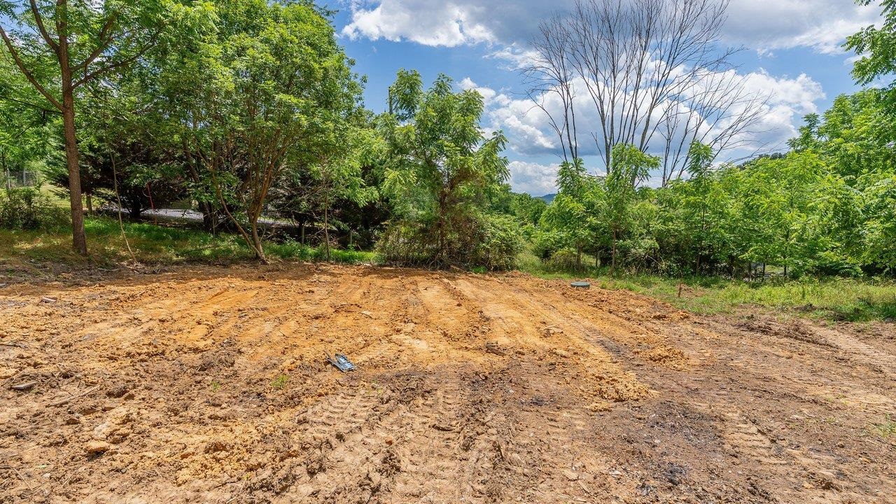 456 DABNEYS RD, RAPHINE, Virginia 24472, ,Land,456 DABNEYS RD,678593 MLS # 678593 456 DABNEYS RD, RAPHINE, Virginia 24472, ,Land,456 DABNEYS RD,678593 MLS # 678593