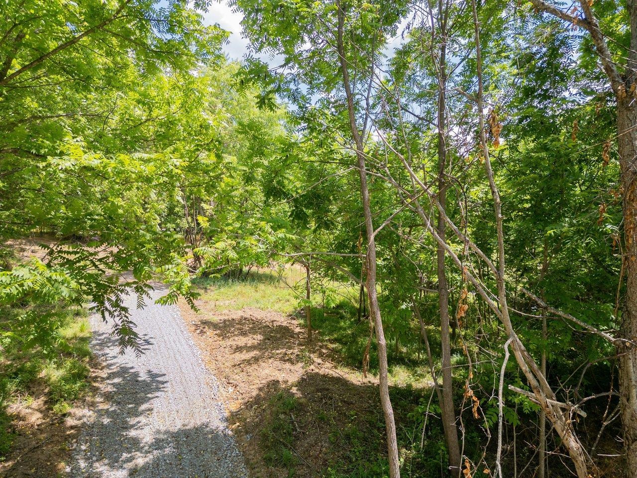 456 DABNEYS RD, RAPHINE, Virginia 24472, ,Land,456 DABNEYS RD,678593 MLS # 678593 456 DABNEYS RD, RAPHINE, Virginia 24472, ,Land,456 DABNEYS RD,678593 MLS # 678593