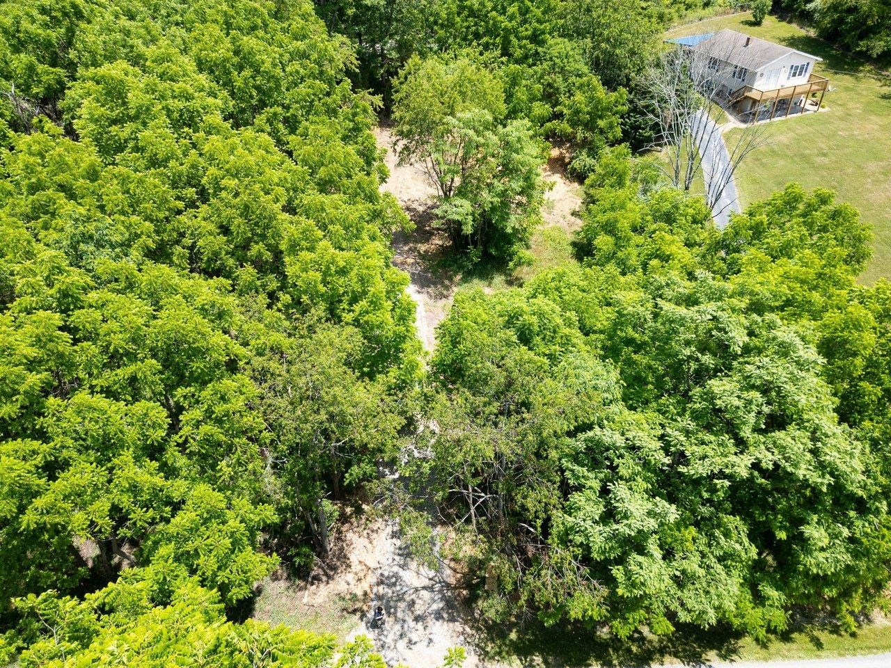 456 DABNEYS RD, RAPHINE, Virginia 24472, ,Land,456 DABNEYS RD,678593 MLS # 678593 456 DABNEYS RD, RAPHINE, Virginia 24472, ,Land,456 DABNEYS RD,678593 MLS # 678593